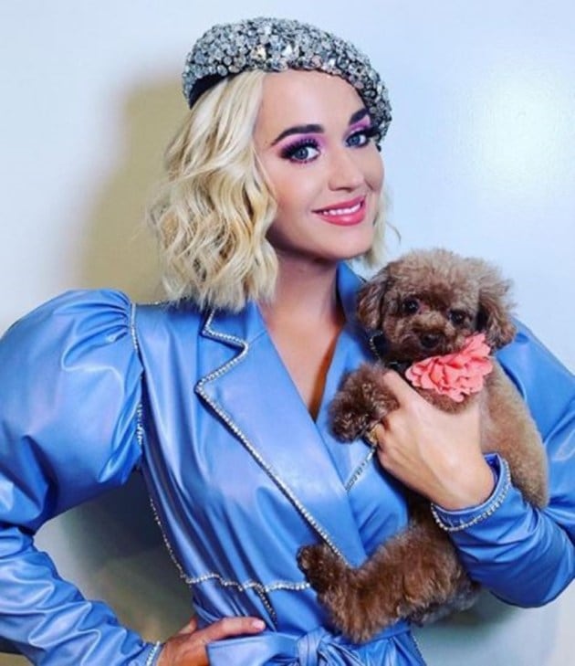 katy perry, katy perry photos, katy perry latest news, katy perry baby photos, katy perry husband, katy perry family