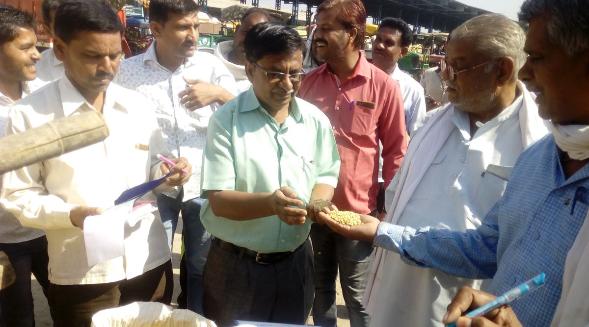 artificial intelligence in farm produce, artificial intelligence in indian agriculture, AI in farms, AI latest news, agriculture news, indian express news, Indian express explained