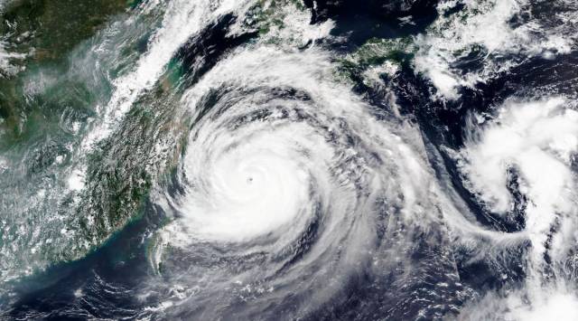 Japan: Cargo ship carrying 43 crew and 5,800 cows missing in typhoon ...