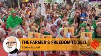 farm bills, farmer protests, farmer protests across India, Punjab farmer protests, Haryana farmer protests, congress on farm bills