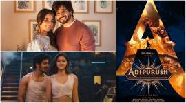 hina khan, adipurush, khaali peeli song