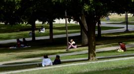 Cornell University, US universities, US University cam,pus coronavirus, Cornell University coronavirus, US covid cases, world news