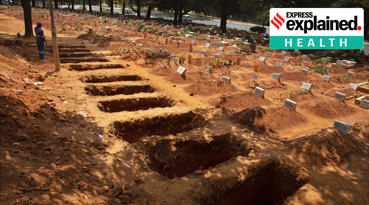 coronavirus, coronavirus news, coronavirus deaths, coronavirus death rate, indian express