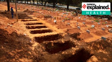 coronavirus, coronavirus news, coronavirus deaths, coronavirus death rate, indian express