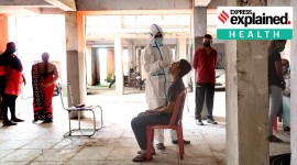 Covid nasal vaccines, intranasal vaccine, what is nasal vaccines, how does nasal vaccine work, coronavirus vaccine, indian covid 19 vaccine, indian express