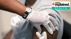 Virus Outbreak coronavirus vaccines, indian coronavirus vaccine, vaccine trials india, indian vaccines human trials, coronavirus latest vaccine news, indian express news