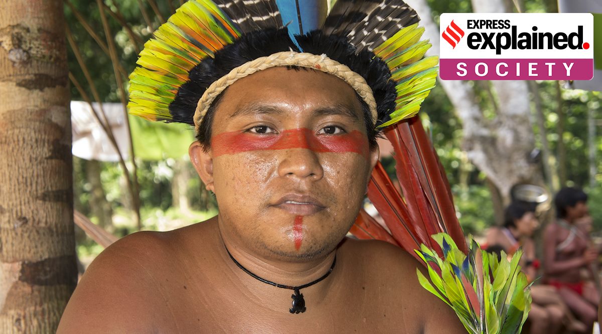 Blood Gold, What is Blood Gold, Yanomami people, Yanomami appeal to India on Blood Gold, Yanomami Blood Gold, Indian Express