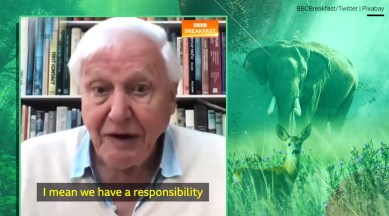 David Attenborough, David Attenborough environment interview, BBC interview, who is David Attenborough, trending news, indian express news