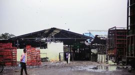 delhi slaughterhouse licencing, delhi slaughterhouse hygiene levels, delhi slaughter houses, delhi city news