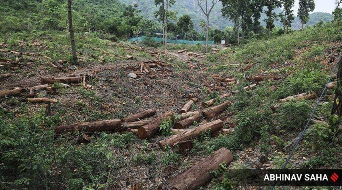 EIA, EIA draft, draft EIA in 22 languages, Environment Impact Assessment, draft Environment Impact Assessment, India news, Indian Express