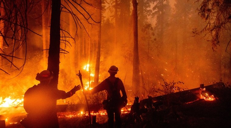 california wildfire, California fires, California, california wildfire news, wildfires in california, California heatwave, world news, World news