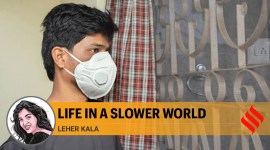 Leher-Kala no alt set