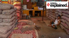 essential commodities act, essential commodities act explained, what is essential commodities act, what is an essential commodity, parliament essential commodities act, indian express