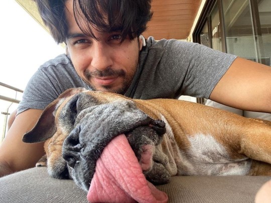 Sidharth Malhotra