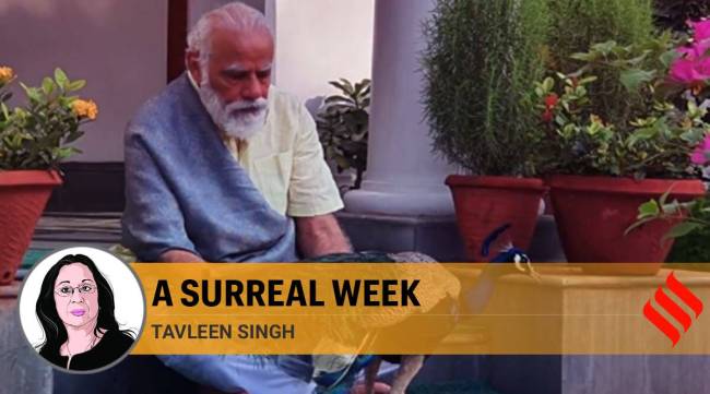 prime minister narendra modi, pm modi, modi with peacock, india economic slowdown, india gdp fall, india china border dispute, central vista project, tavleen singh 