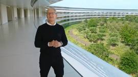 Apple CEO Tim Cook, Tim Cook work from home, Tim Cook remote work employees, Tim Cook Covid 19 work, Tim Cook covid 19 effects, Apple employees during covid