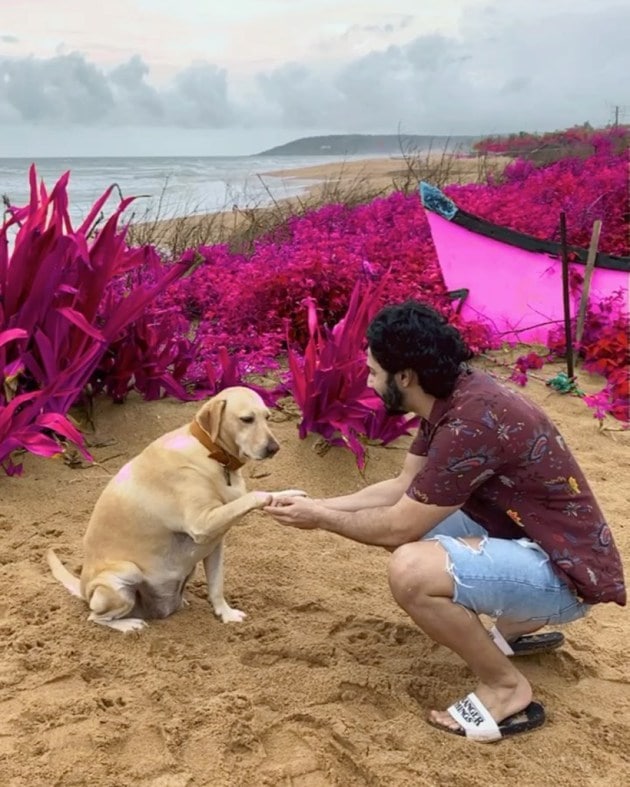 Varun Dhawan