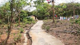 Aarey Colony, mumbai Aarey Colony, Aarey Colony forests, Aarey Colony mumbai metro, Aarey Colony deforestation, uddhav thackeray, mumbai city news