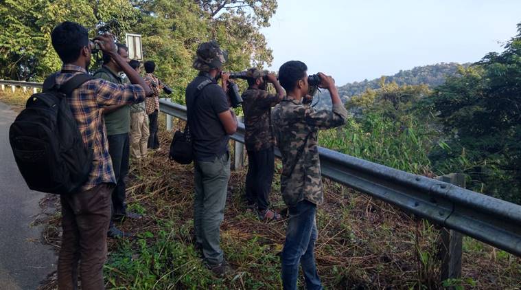 Kerala bird diversity, Kerala birds, Kerala's bird atlas, Kerala news, Kerala volunteers, Kerala forests, Indian express