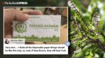 plant seed paper, plantable visiting cards, plant seed cards, flower seed cards, parveen kaswan, eco friendly ideas, go green, indian express, viral twitter thread