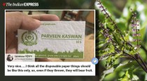 IFS officer's unique visiting card inspires many others to go green