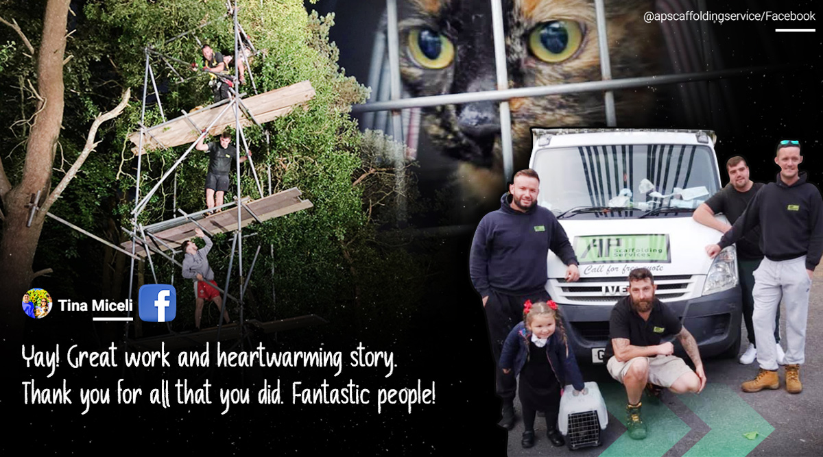 Four Days 40 Foot Tree How An Entire Town In Wales Got Together To Rescue A Cat Trending News The Indian Express