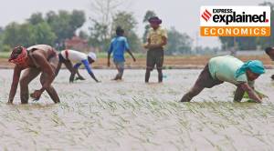 An Expert Explains: Decoding India’s GDP contraction by 23.9%