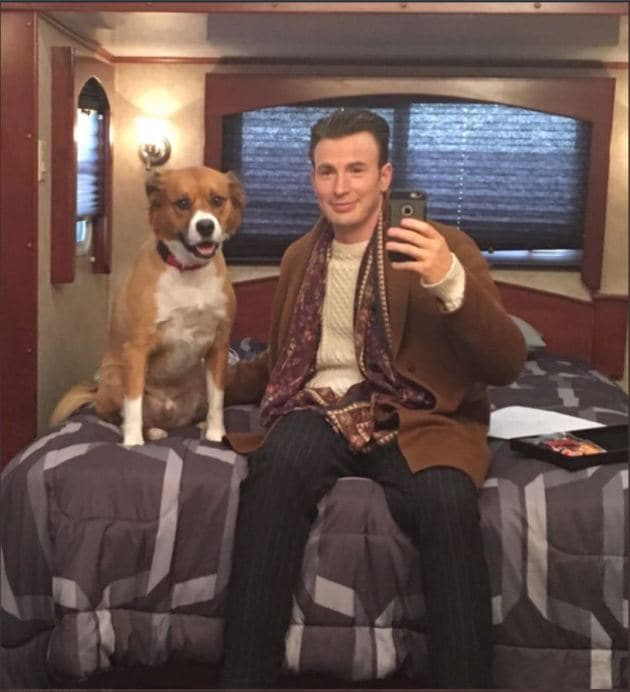 chris evans, chris evans photo, chris evans photos, chris evans pics, chris evans captain america