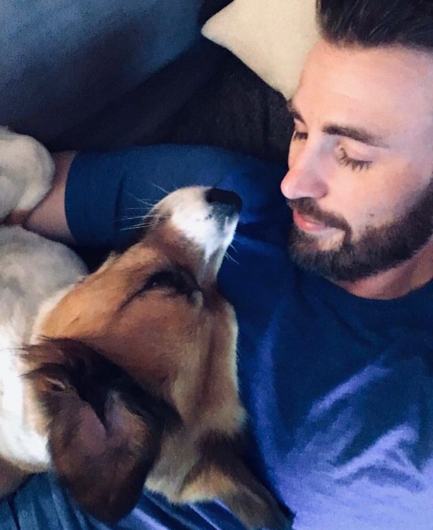 chris evans, chris evans photo, chris evans photos, chris evans pics