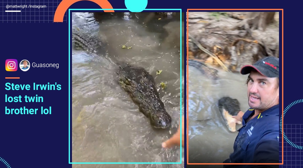Crocodiles, Crocodile video, Trending news, Indian Express news, Australia, Trending news, Viral video, Indian Express news.