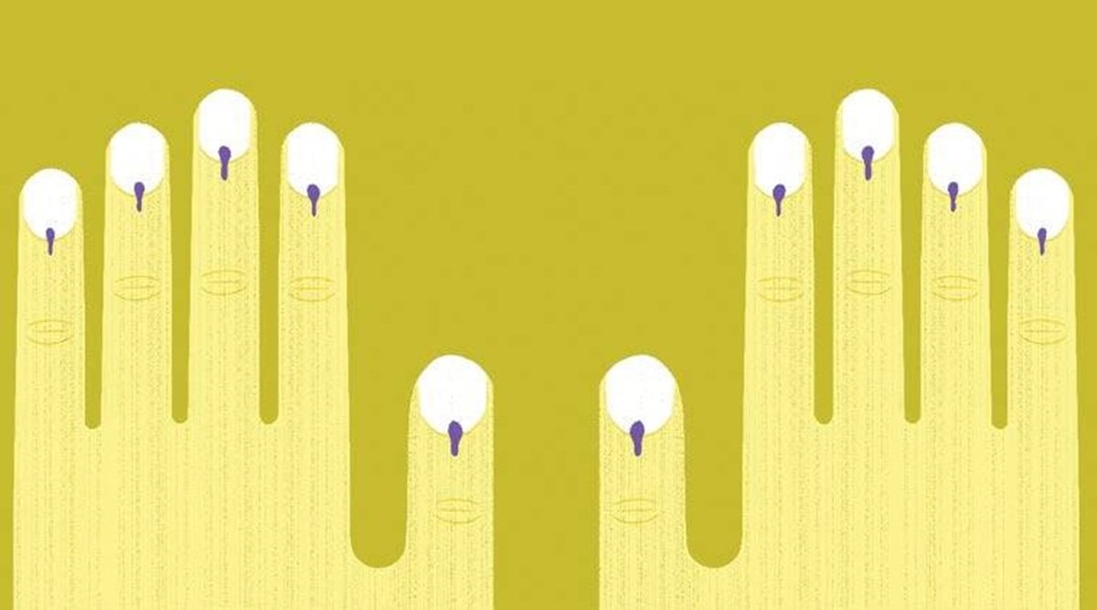 gujarat local body elections, state election commission, delimitation exercise in gujarat, gujarat municipal councils, indian express news