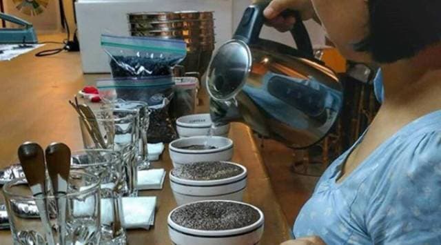 elephant poop coffee