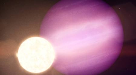 exoplanet found, exoplanet jupiter size, exoplanet discovery WD1856 + 534b, exoplanet dwarf star, sun fate, sun future