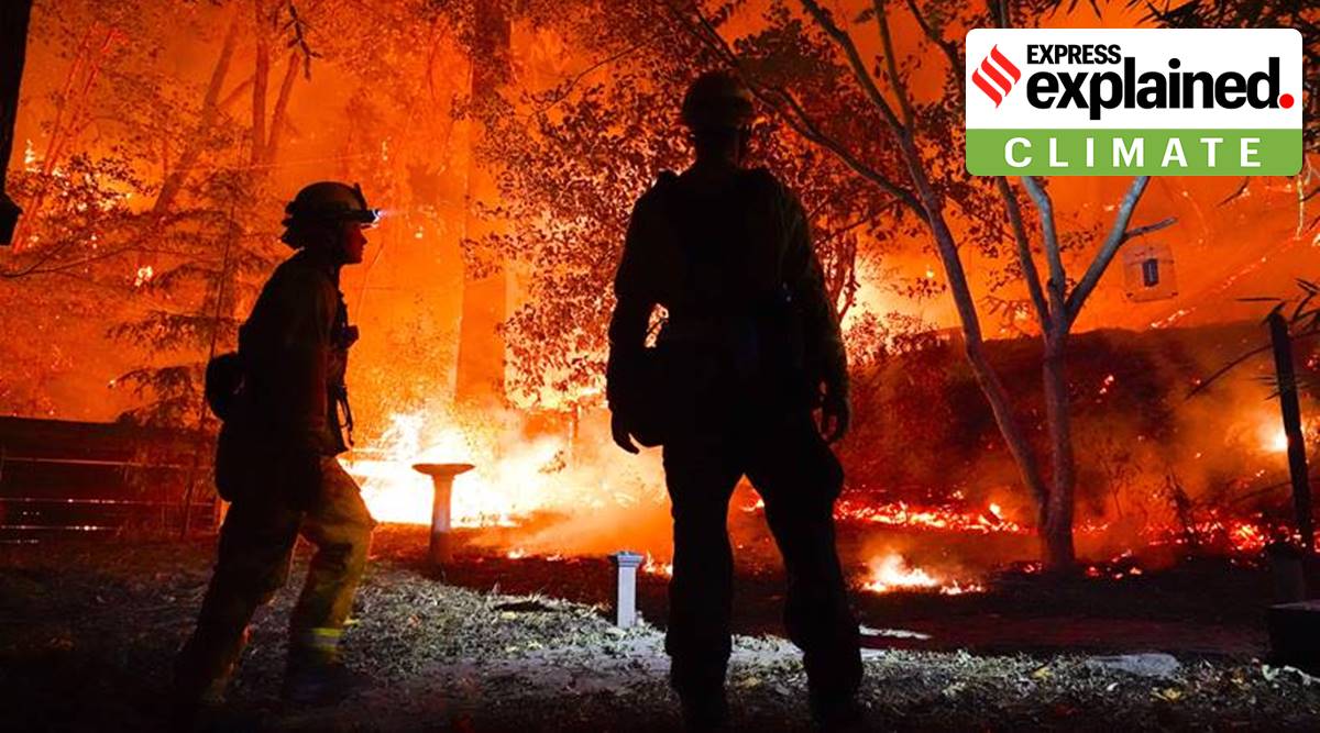 Earlier this month, US President Donald Trump dismissed concerns that climate change could be fuelling the wildfires in California that have forced thousands of people to leave their homes