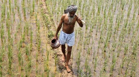 Mukhyamantri Kisan Sahay Yojana, gujarat farmers, gujarat farmers compensation, gujarat mksy, indian express news