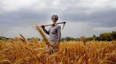 farmer suicides, ncrb data, ncrb data farmer suicides, farmer suicides data, farmer suicides in india, agrarian crisis, rural distress, indian express