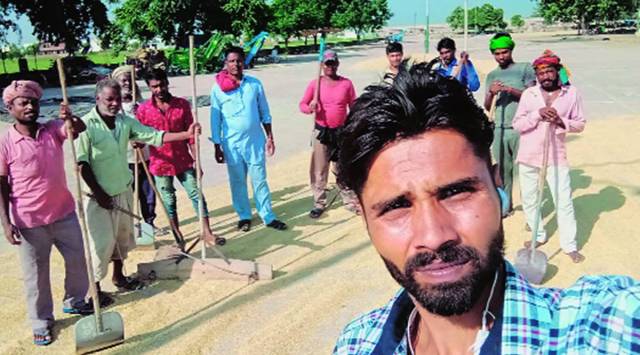 Punjab mandi unrest includes labourers: ‘Govt playing with lives of lakhs’