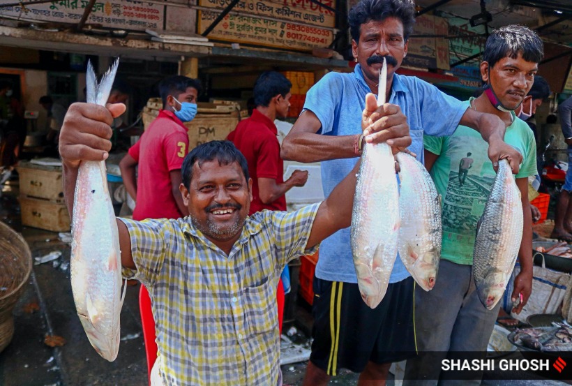 Hilsa from Bangladesh brings cheer in West Bengal fish markets