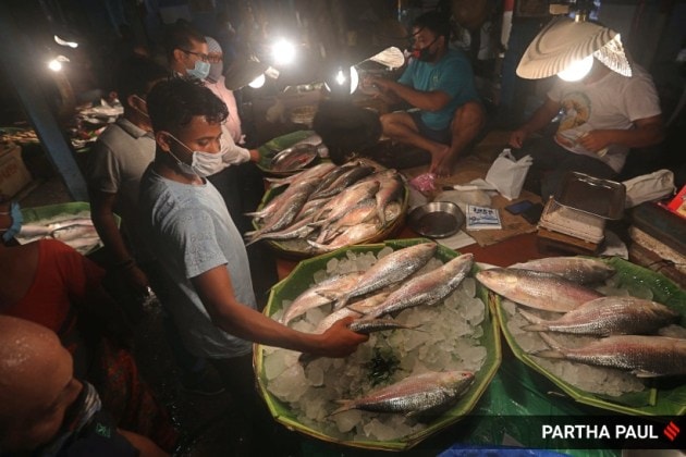hilsa fish, covid-19 pandemic, kamphuli river, bangladesh hilsa, hilsa production, fishermen, bangladesh fishermen, indian express