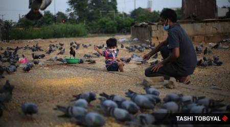 coronavirus, india news, news, coronavirus news, covid 19 news, unlock 4 guidelines, unlock 4 guidelines mha, unlock 4, lockdown unlock 4, lockdown 4.0, india coronavirus news, coronavirus vaccine, covid 19 india, coronavirus india, coronavirus india news, corona cases in india, coronavirus news, covid 19 india, corona news, corona latest news, corona cases in india, india coronavirus, coronavirus live update,