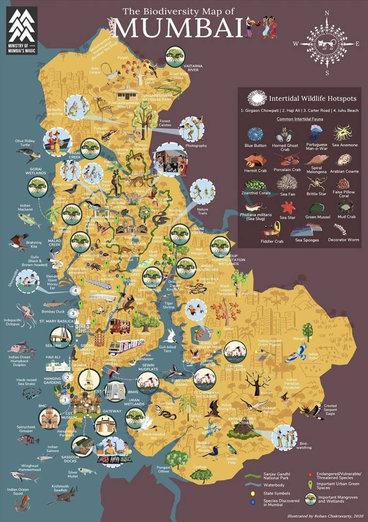 Biodiversity map puts spotlight on Mumbai’s rich flora, fauna