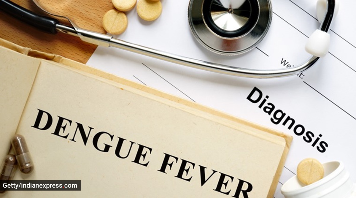 mosquito borne diseases, dengue, chikungunya, indianexpress.com, indianexpress,malaria, symptoms mosquito borne diseases,