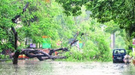 mumbai rains, mumbai weather, mumbai floods, mumbai water logging, mumbai weather today, mumbai rains imd, mumbai city news