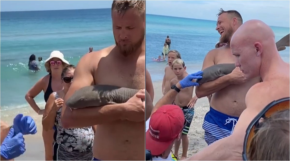 Viral Video Small Shark Latches On To Man S Arm At Florida Beach Trending News The Indian Express