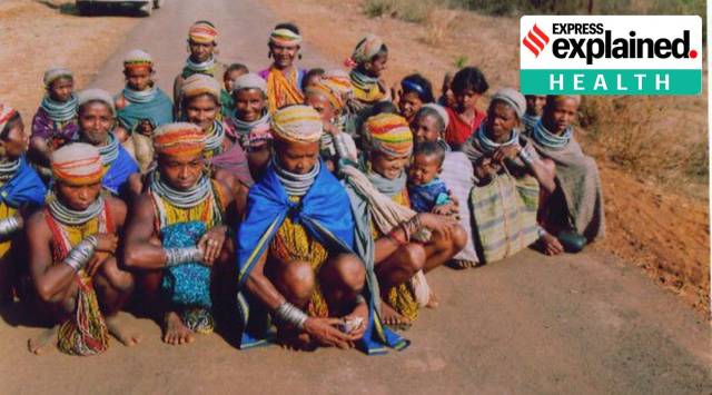 Odisha tribes, Odisha tribes Covid 19, Particularly Vulnerable Tribal Group, PVTG in Odisha, Covid 19 odisha, indian express, express explained