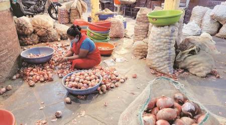 onions, onion ban, Bangladesh on onion ban, onion export ban, govt bans export of onions, onion wholesale price, onion retail price, onion prices