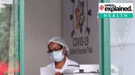 oxford-trial Oxford vaccine trials, Oxford vaccine trial stopped, Oxford covid vaccine, Oxford vaccine India trials, AstraZeneca, covid 19 vaccine, coronavirus vaccine, express explained, Oxford vaccine explained, indian express