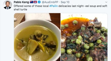 Pablo Kang, Pablo Kang soft-shell turtles, soft-shell turtles, soft-shell turtles soup, Pablo Kang twitter, World news, Indian Express
