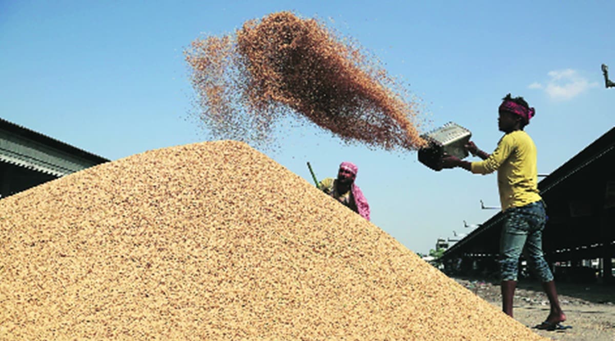 Shaky start to paddy procurement in Punjab: Delayed payments, just 9%  purchase by govt | India News,The Indian Express