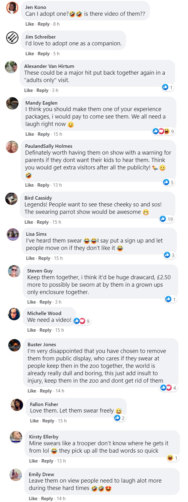 British wildlife park forced to move parrots after they start ‘swearing